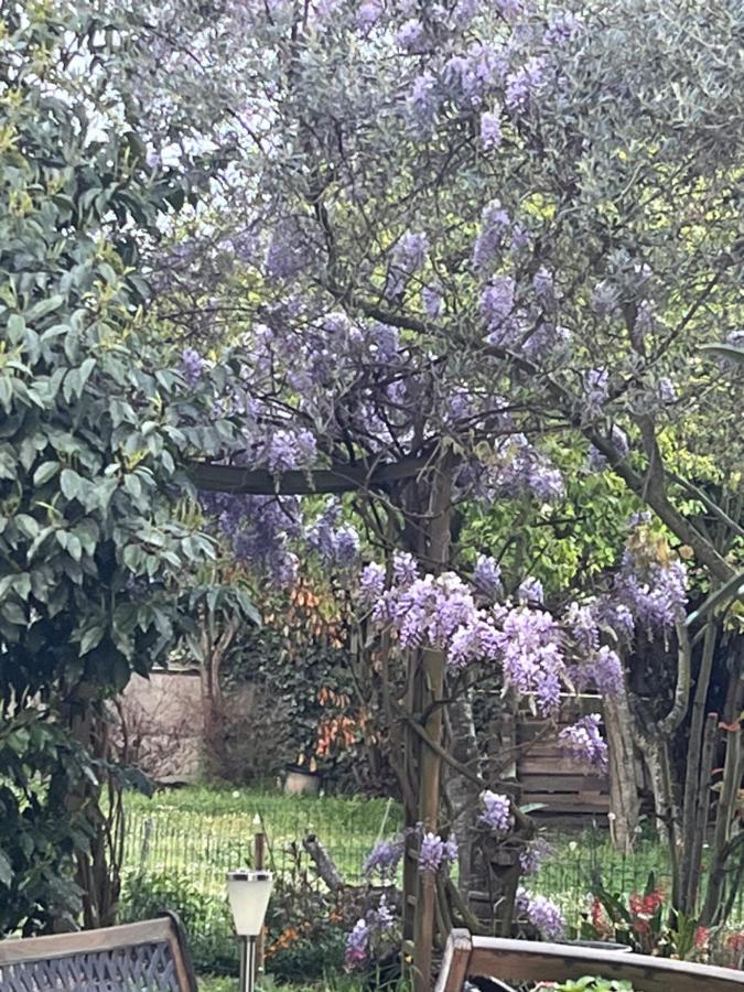 A Room And Garden Close To Paris Vitry-sur-Seine Esterno foto
